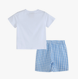 Bunny Family Smocked Tee and Blue Gingham Shorts Set 18/24m, 4t, 5y