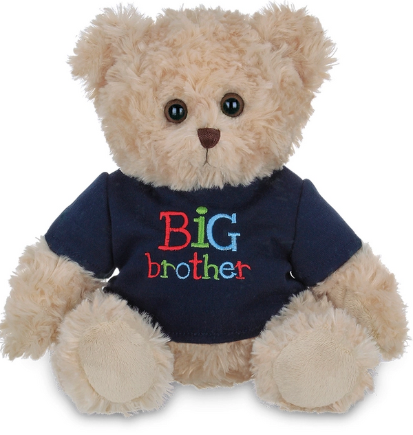 Big Brother Bear